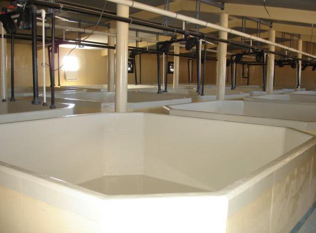 Agro-alimentaire