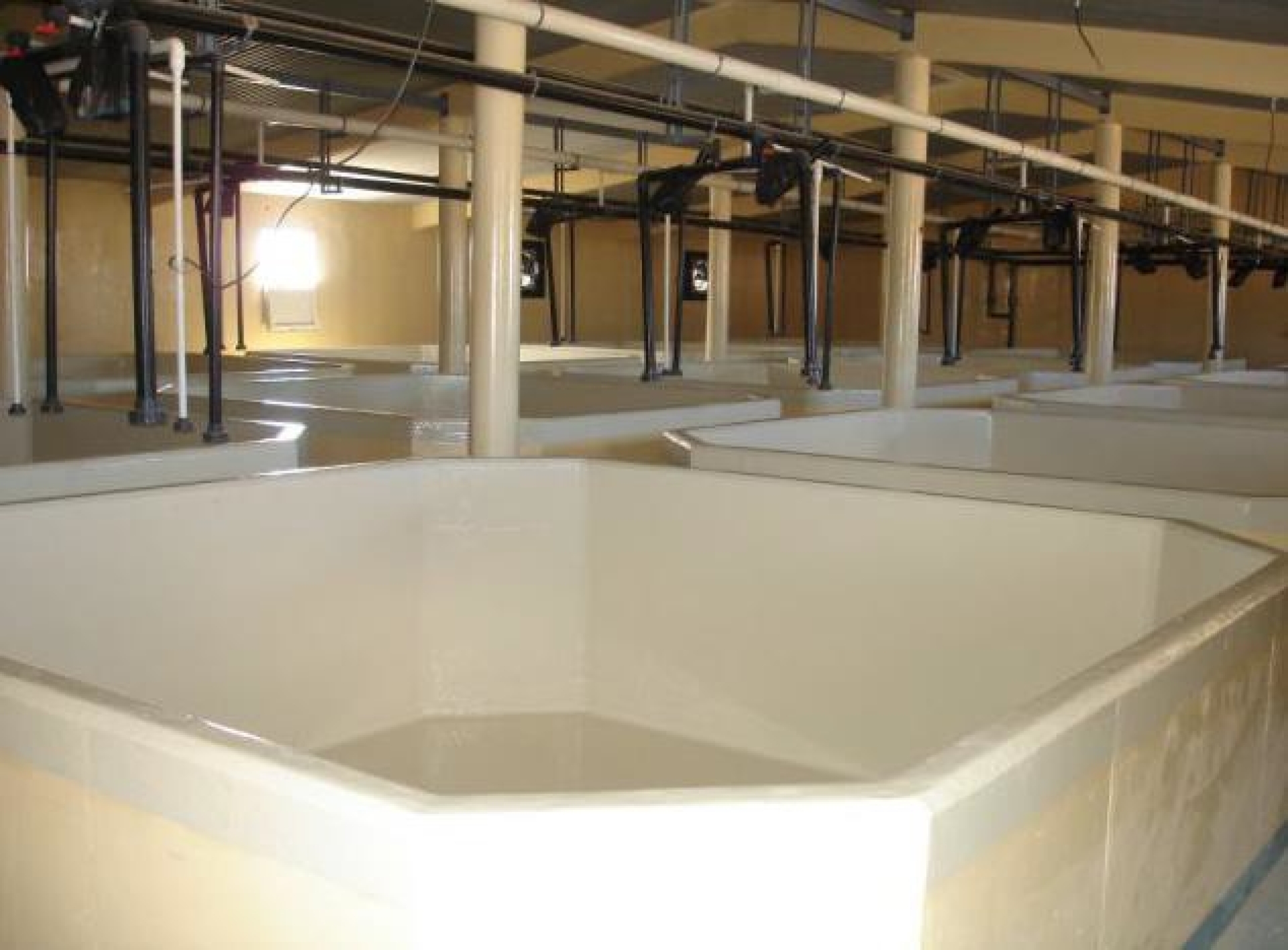 Agro-alimentaire