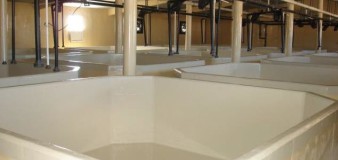 Agro-alimentaire