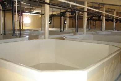 Ecloserie marine